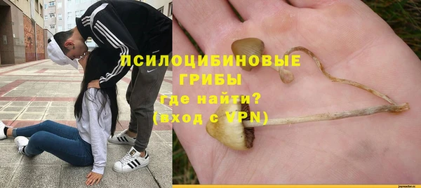 spice Баксан