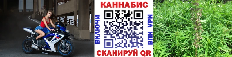 Конопля MAZAR Светогорск